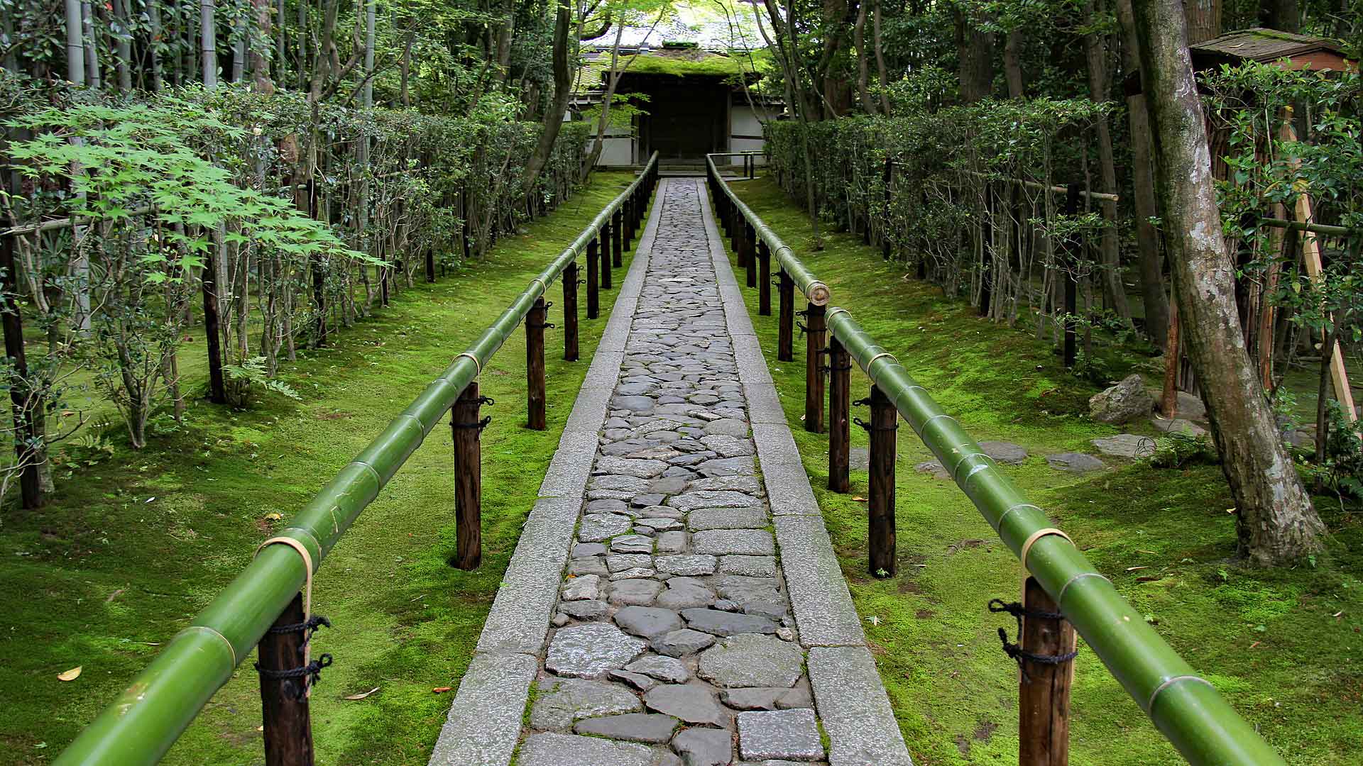 日本庭園の景色