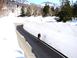 八甲田 雪の回廊